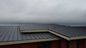 Best Sheet Metal Roofing  in Trafford, PA